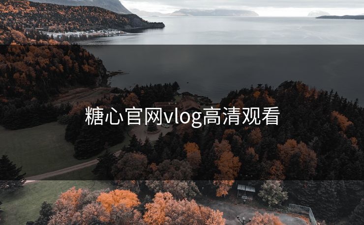 糖心官网vlog高清观看
