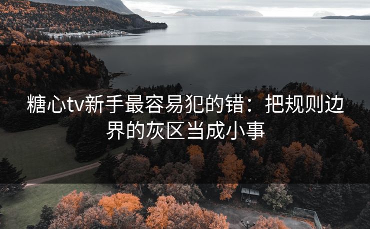 糖心tv新手最容易犯的错：把规则边界的灰区当成小事