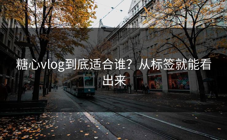 糖心vlog到底适合谁？从标签就能看出来