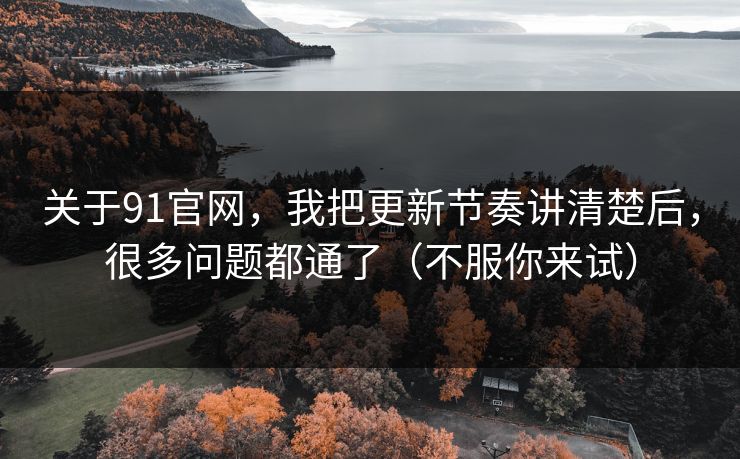 关于91官网，我把更新节奏讲清楚后，很多问题都通了（不服你来试）