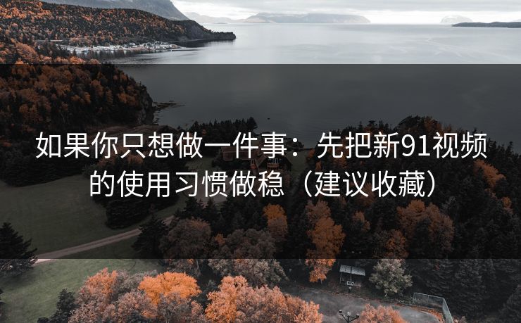 如果你只想做一件事：先把新91视频的使用习惯做稳（建议收藏）