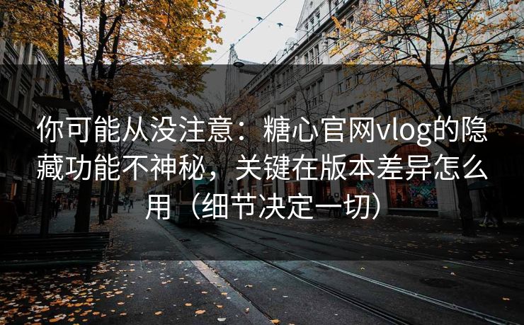 你可能从没注意：糖心官网vlog的隐藏功能不神秘，关键在版本差异怎么用（细节决定一切）